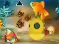 Игра Save The Mother Fish онлајн