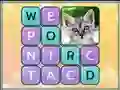 Игра Word Search Pictures онлајн
