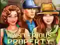 Игра Mysterious Property онлајн
