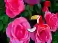 Игра Precious Rose Escape онлајн