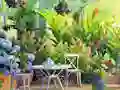 Игра Find The Cute Pandas онлајн