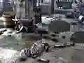 Игра Friends Rescue From Skeleton онлајн