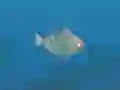 Игра Fish Companions онлајн