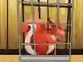 Игра Rescue The Red Squirrel From Cage онлајн