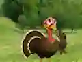 Игра Ready To The Thanksgiving Party онлајн