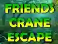 Игра Friends Crane Escape онлајн