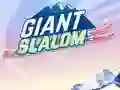 Игра Giant Slalom онлајн