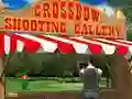 Игра Crossbow Shooting Gallery онлајн