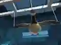 Игра Goose Museum онлајн