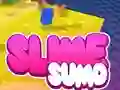 Игра Sumo Slime 3D онлајн