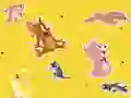 Игра The Tom and Jerry Show Find it! онлајн