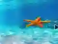 Игра Escape From Underwater Starfish онлајн
