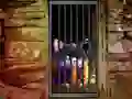 Игра Hidden Cat Escape онлајн