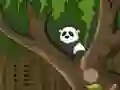Игра Panda Jungle Escape онлајн