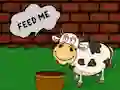 Игра Find The Cow Feed онлајн