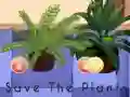 Игра Save the Plants онлајн