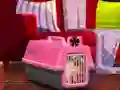 Игра Escape The Small Pug онлајн