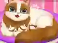 Игра Cute Kitty Pregnant онлајн