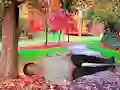 Игра Rescue A Wounded Guy онлајн