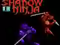Игра Shadow of the Ninja онлајн