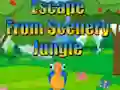 Игра Escape from Scenery Jungle онлајн