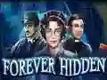 Игра Forever Hidden онлајн