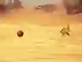 Игра Monkey Shooting онлајн