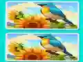 Игра Spot the Difference The Garden онлајн
