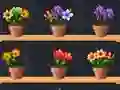 Игра Good Flower Master онлајн