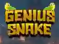 Игра Genius Snake онлајн