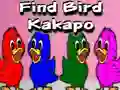 Игра Find Bird Kakapo онлајн