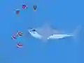 Игра Oceans Shees онлајн