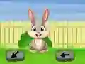 Игра Springtime Escape онлајн