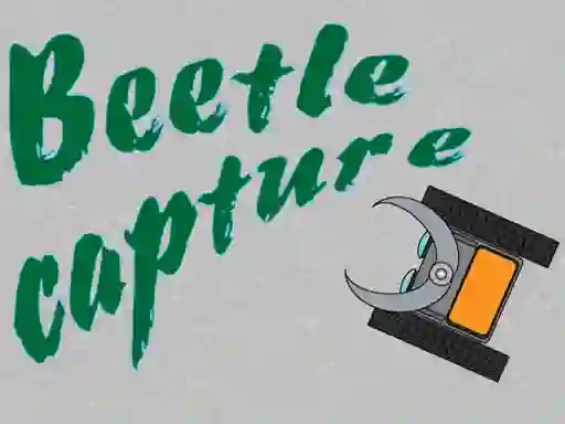 Игра Beetle Capture онлајн