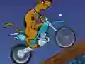Игра Scooby Doo Trail онлајн