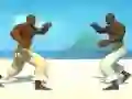 Игра Capoeira fighter онлајн