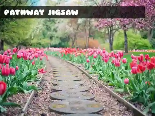 Игра Pathway Jigsaw онлајн