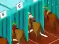 Игра Derby racing онлајн