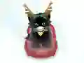 Игра Pet Sledding онлајн