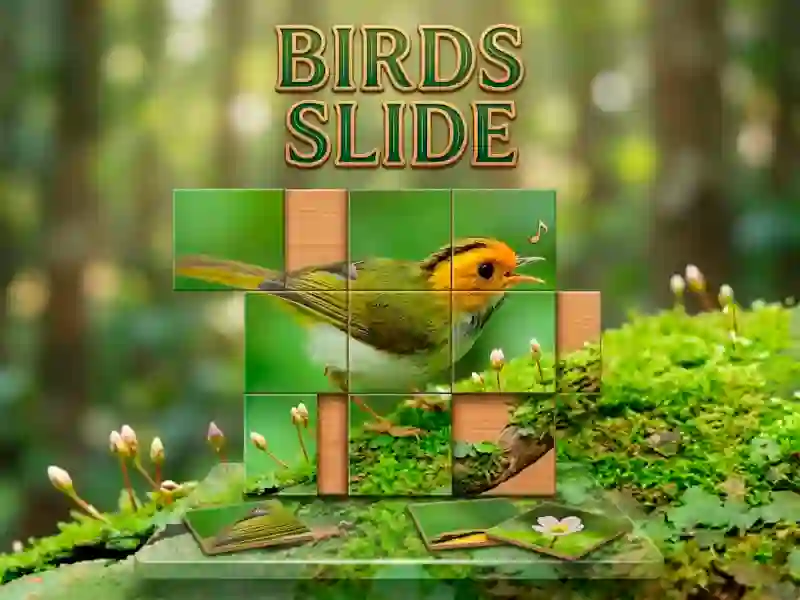 Игра Birds Slide онлајн