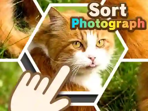 Игра Sort Photograph онлајн