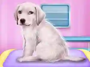 Игра Labrador at the doctor salon онлајн