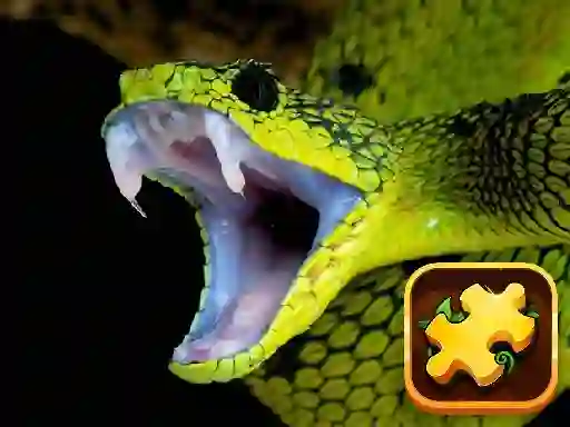 Игра Snake Puzzle Challenge онлајн