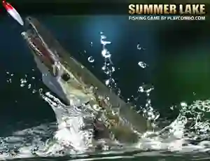 Игра Summer Lake онлајн