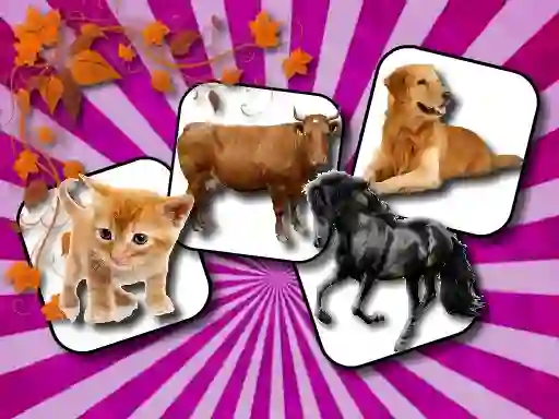 Игра Domestic Animal Memory Challenge онлајн