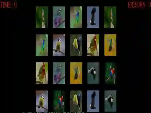 Игра Memorize the birds онлајн