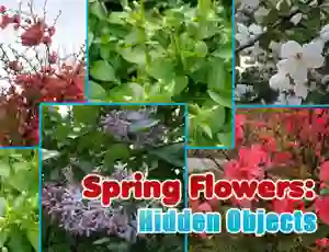 Игра Spring Flowers: Hidden Objects онлајн