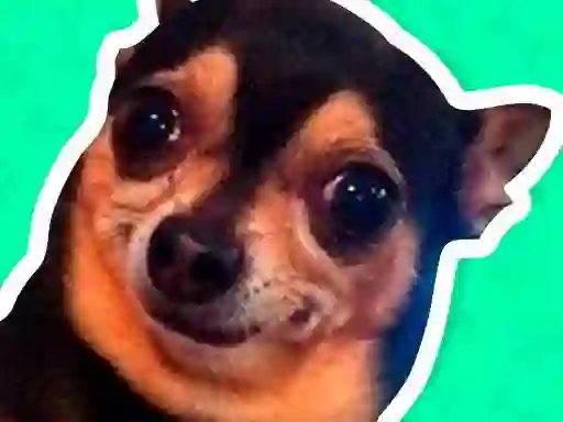 Игра What meme dog are you ? онлајн