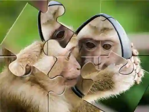 Игра Chimpanzee Jigsaw онлајн