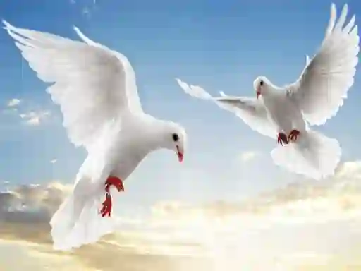 Игра Flying Birds онлајн